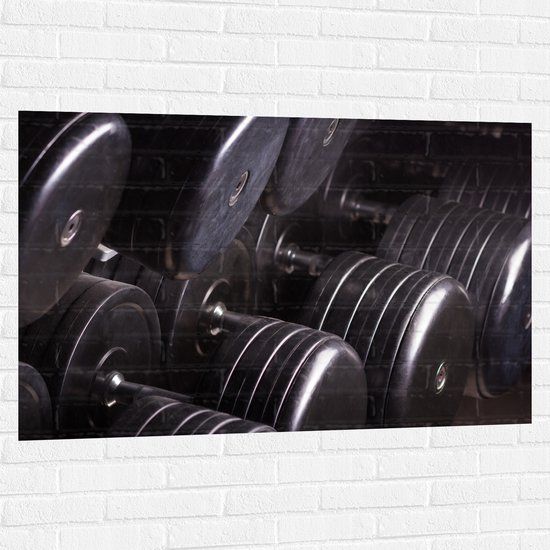 Merkloos Muursticker - Foto van Rek Vol Dumbells in Sportschool - 120x80 cm