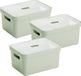 Sunware Sigma Home boîte de rangement 13L - Set de 3 - Vert/Transparent