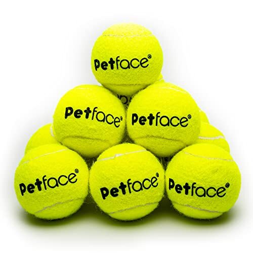 Petface Tennisballen, verpakking van 12 stuks