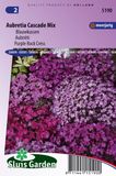 Aubrieta x Cultorum zaden Cascade mix Coussin bleu