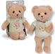BABY born Teddy, zachte pluchen beer van 26 cm met stoffen lichaam