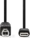 Nedis Câble USB - USB 2.0 - USB-C Mâle - USB-B Mâle - 1,00 m - Noir