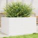 Maison Exclusive - Jardinière, blanc, 90 x 60 x 46 cm, pin massif