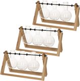 Esschert Design Stekvaasjes in houder - 3x stuks - hout - met 3 glazen vaasjes - 26 x 7 x 15 cm - stekstation