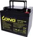 Long WP45-12 Batterie au plomb 12 V 45 Ah Loodvlies (AGM)