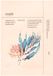 Hyaluronic Ondo Beauty Hyaluronic Acid & Algae Moisture Boosting Mask 25 ml
