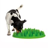 Company of Animals NGM Anti Schling Interactieve Hond Voerbak, Mini, Groen