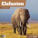 Elefanten Ackermann Kunstverlag Elefanten Kalender 2027 - 30x30 - Art12