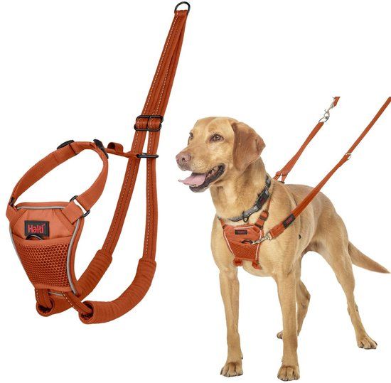 HALTI No-Pull Hondentuig - Maat M - Verbrande Sinaasappel