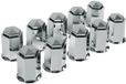 Lampa ABS moerkapjes voor vrachtwagens, set van 10 stuks - 32 mm - Chroom