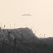 Sonic Rendezvous Albinobrothers - Goliath Awakes (LP)
