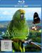 KSM GmbH Faszination Amazonas 3D - Südamerika 3D Blu-ray