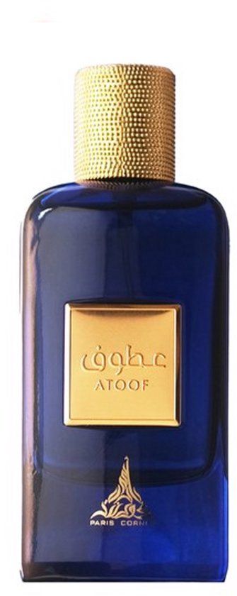 Paris Corner Eau de Parfum / 100 ml / Men