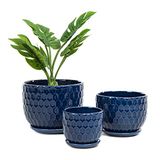 Nattol Keramische bloempotten met afvoergat en schotel, Noord-Europese stijl ronde vetplanten voor binnen met honingraat geïnspireerd textuurontwerp, klein tot middelgroot, set van 3, marineblauw