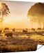 Gards Poster de Vaches dans le Pré avec Lever de Soleil - 120x120 cm - Toile de Jardin