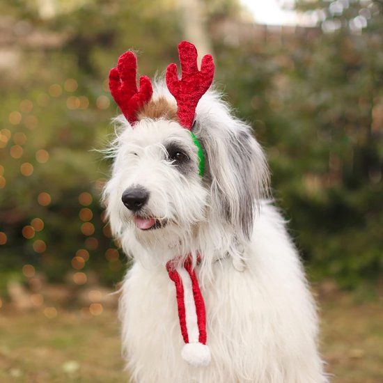 ZippyPaws Holiday Antlers - Honden Accessoire - Kerst Hoofdband Hond - Rood/Groen - Pluche/Polyester - Maat S