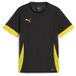 Puma Trainingstrui voor kinderen TeamGoal