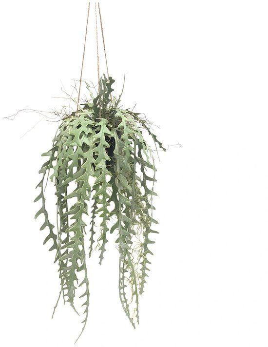 Buitengewoon Boet Kunstplant Zaagtand Cactus Hang - 107 cm