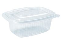 Rechthoekige Pp verpakking met scharnierdeksel - 250 ml