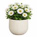 Mica Decorations Plantenpot - keramiek - wit glans / ribbels - D18 x H16 cm - bloempot Pablo