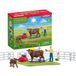 Schleich FARM WORLD Koe wasstation 42529