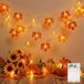 Lichtketting herfst
