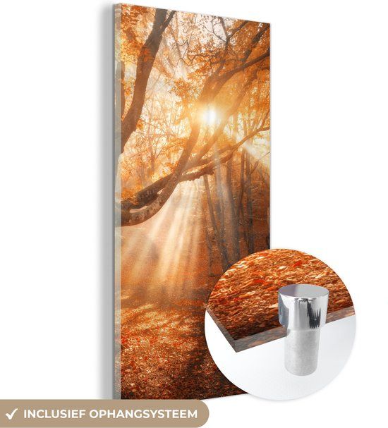 MuchoWow® Glasschilderij 20x40 cm - Acrylglas Schilderij - Boom - Natuur - Herfst - Foto op glas - Modern