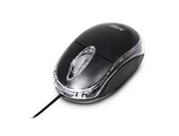 Urban Factory BDM02UF souris Ambidextre USB Type-A Optique 800 DPI