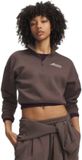 Under Armour Rival Fleece Varsity Sweatshirt Met Halve Rits Bruin XS Vrouw