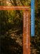 The Soil Chemistry of Kalopanax septemlobus: Maximizing Growth and Resilience