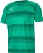 Puma Teamvision Shirt Korte Mouw Heren - Groen