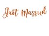 PartyDeco Bruiloft banner met Just Married inscriptie, bruid, bruiloft, decoratie, goud, bruiloft, slinger, bruid en bruidegom