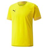 PUMA Teamfinale Jersey heren Voetbal Shirt