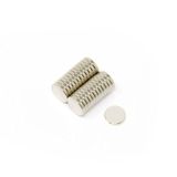Magneetexperts F306-250 N42 Disc Magneet (250 stuks)