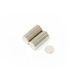 Magneetexperts F306-250 N42 Disc Magneet (250 stuks)
