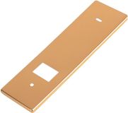 Schellenberg 10278 Plaque voor riemwikkelaars, goud, afstand van de bevestigingsgaten 16,5 cm