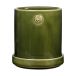 ERNST Pot avec soucoupe Vert, Ø10x11 cm