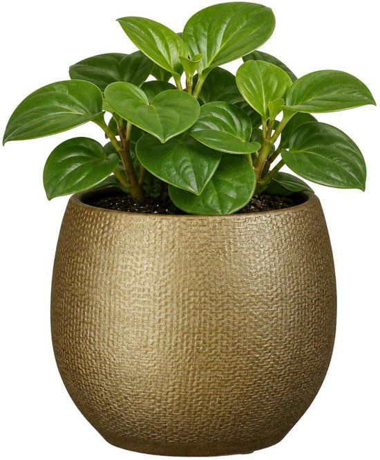 Mica Decorations Plantenpot Porto Keramiek Goud Glans Ribbels D13 x H14 cm