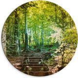 Merkloos / Sans marque Dibond Muurcirkel - Stenen Trap in Bloeiend Groen Bos - 60x60 cm