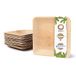 GREENBOX Palmware 25 stuks premium palmbladborden, rechthoekig, 18 x 18 cm, biologisch wegwerpservies, biologisch afbreekbaar, wegwerpservies