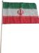Merkloos / Sans marque Promex Gmbh Luxe zwaaivlag Iran