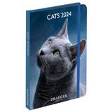 Draeger Paris zakagenda 2024
