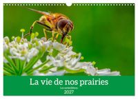 La CALVENDO La vie de nos prairie, les ombellifères (Calendrier mural 2027 DIN A3 vertical), CALVENDO calendrier mensuel