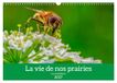 La CALVENDO La vie de nos prairie, les ombellifères (Calendrier mural 2027 DIN A3 vertical), CALVENDO calendrier mensuel