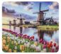 WENKO Multi-Plaat Mod. Windmolen