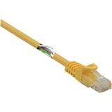 Renkforce RF-5224648 Câble réseau Jaune 0,15 m Cat5e U/UTP