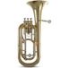 Roy Benson Bb-Bariton BH-301
