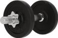 Endurance Sports Group Denmark A/S Dumbbell Endurance 10 kg Zwart