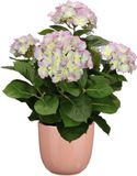 Mica Decorations Hortensia Kunstplant 45 cm - Paars/Groen - Roze Glans Pot