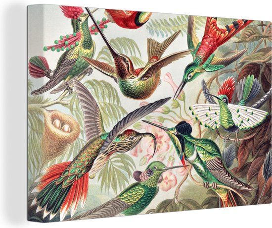 OneMillionCanvasses Canvas Schilderij - Kolibrie Vogels Natuur - 180x120 cm